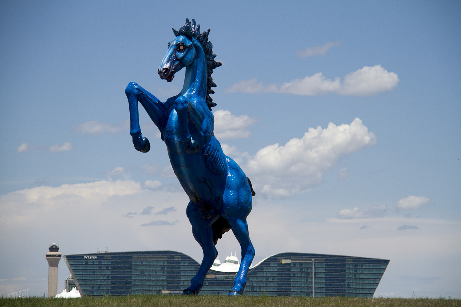 Will Blucifer's laser eyeballs beat out Peyton's laser accuracy? (Kevin J. Beaty/Denverite)