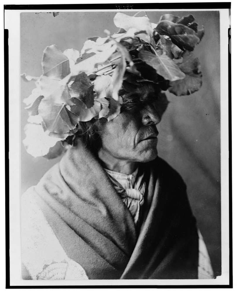 A 1910 photograph by Edward Curtis shows a Cheyenne man named Porcupine. Library of Congress Prints and Photographs Division