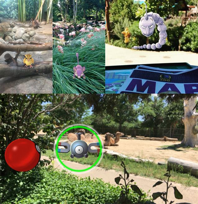 Things to do in Denver Pokemon Go weekend edition Denverite, the