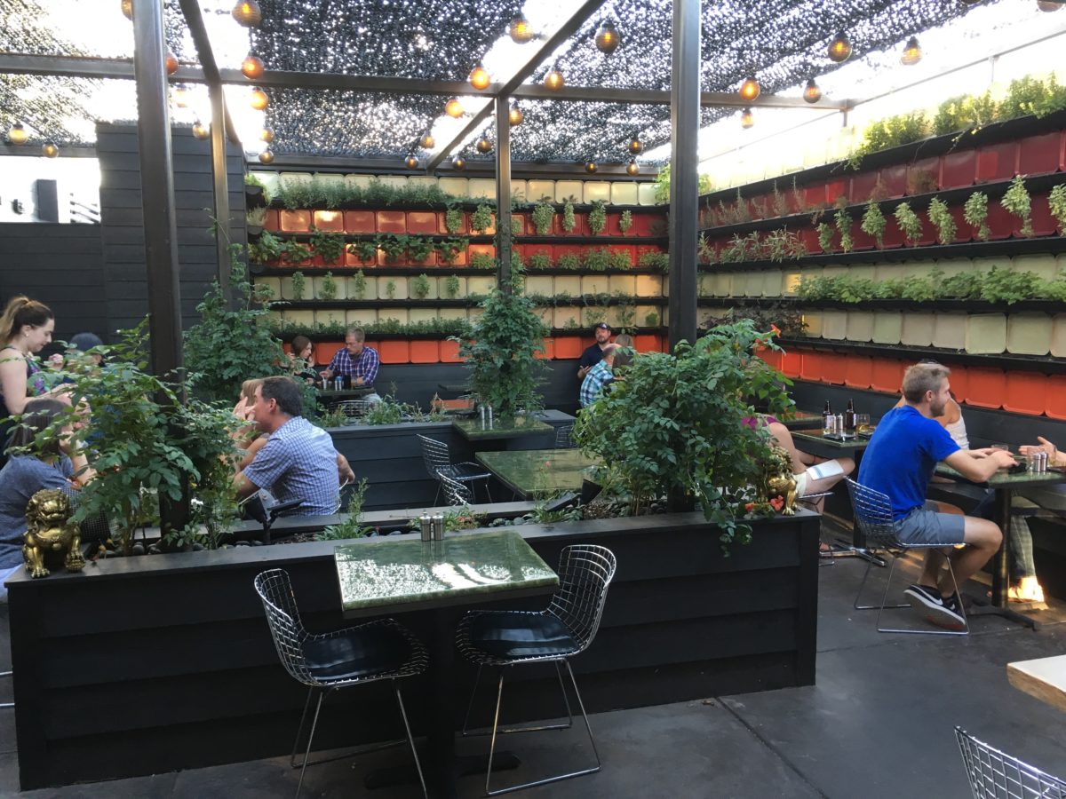 Denver vegetarian guide Vegan and vegetarian restaurants Denverite