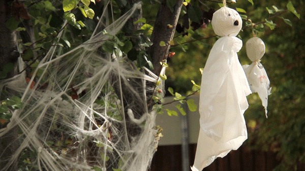 Halloween decor. (Kevin J. Beaty/Denverite)
halloween; holidays; denver; colorado; denverite; kevinjbeaty;
