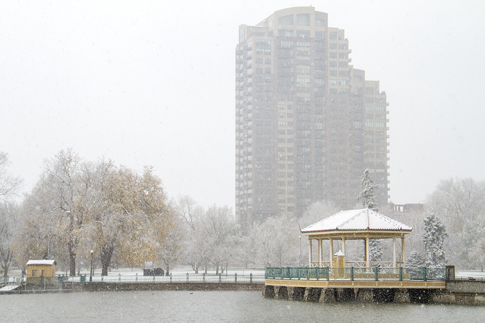 Snow day, Nov. 17, 2016. (Kevin J. Beaty/Denverite)
city park; denver; denverite; kevinjbeaty; colorado; snow; weather; cowx; snow;