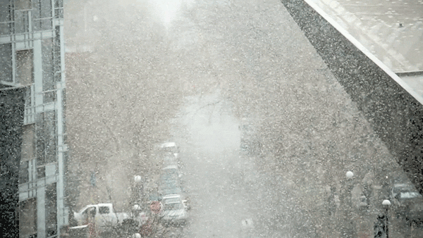 Snow day, Nov. 17, 2016. (Kevin J. Beaty/Denverite)
denver; denverite; kevinjbeaty; colorado; snow; weather; cowx; snow;