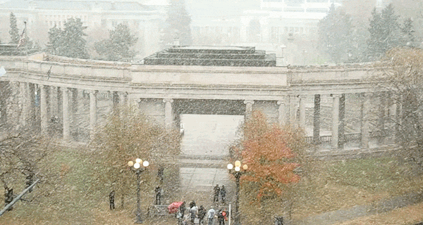 Snow day, Nov. 17, 2016. (Kevin J. Beaty/Denverite)
civic center park; denver; denverite; kevinjbeaty; colorado; snow; weather; cowx; snow;