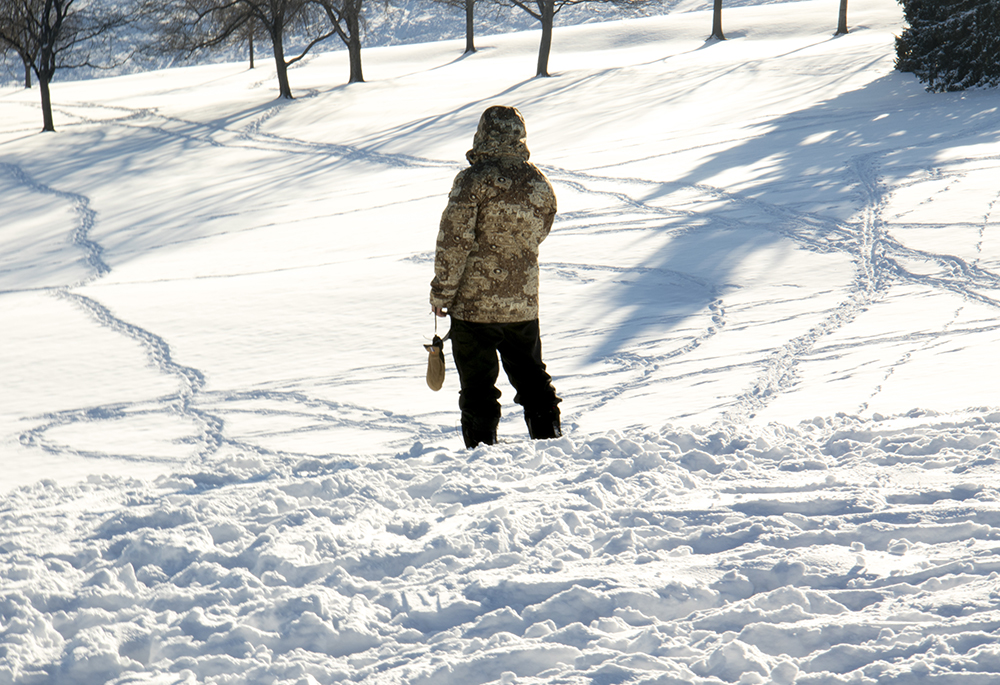 Matthew Perez overlooks Ruby Hill park which is crisscrossed with trails in the snow. Dec. 17, 2016. (Kevin J. Beaty/Denverite)
snow day; winter; sledding; denver; denverite; colorado; kevinjbeaty;