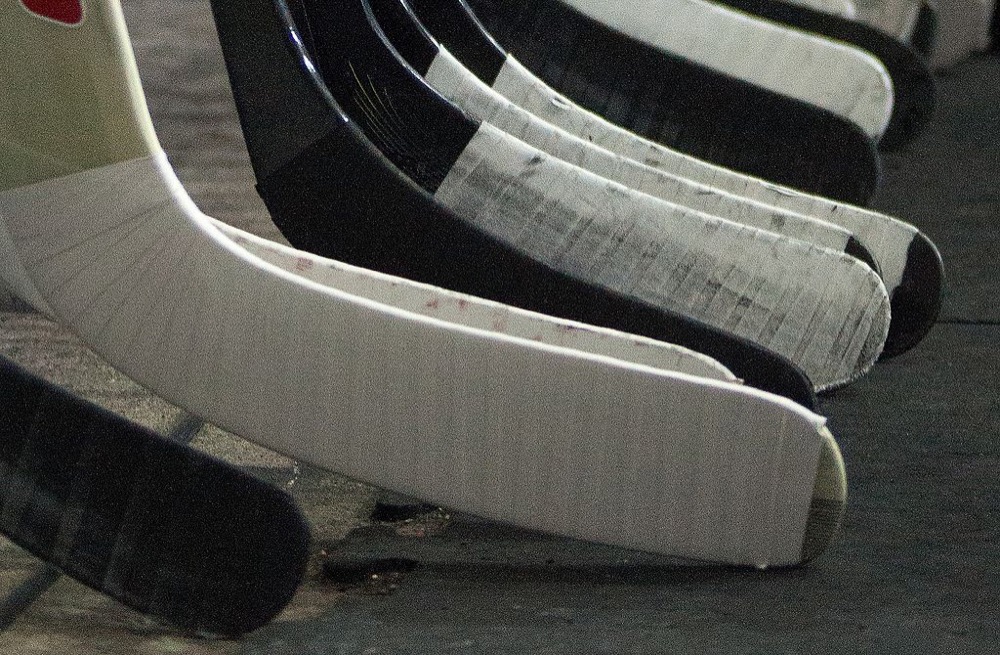 Hockey sticks. (Fanny Schertzer/Wikimedia Commons)
