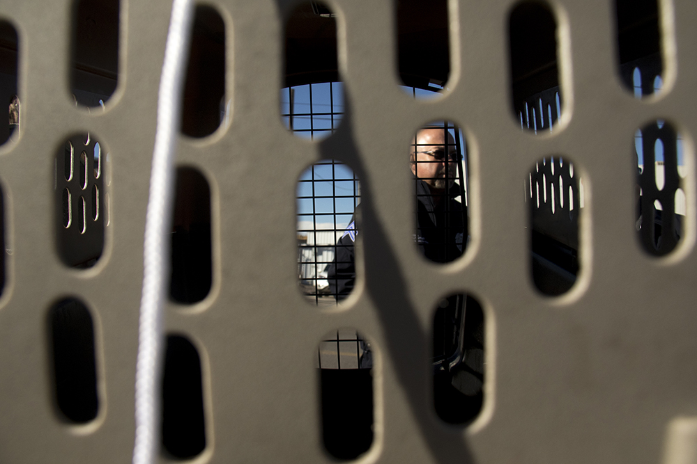 Denver Animal Protection sergeant Stephen Romero checks on Amanda Berry's cat, O'Malley, as city workers "sweep" a homeless encampments at Denargo and Delgany Streets, Jan. 26, 2016. (Kevin J. Beaty/Denverite) homelessness; sweeps; right to rest; denver; colorado; kevinjbeaty; denverite;