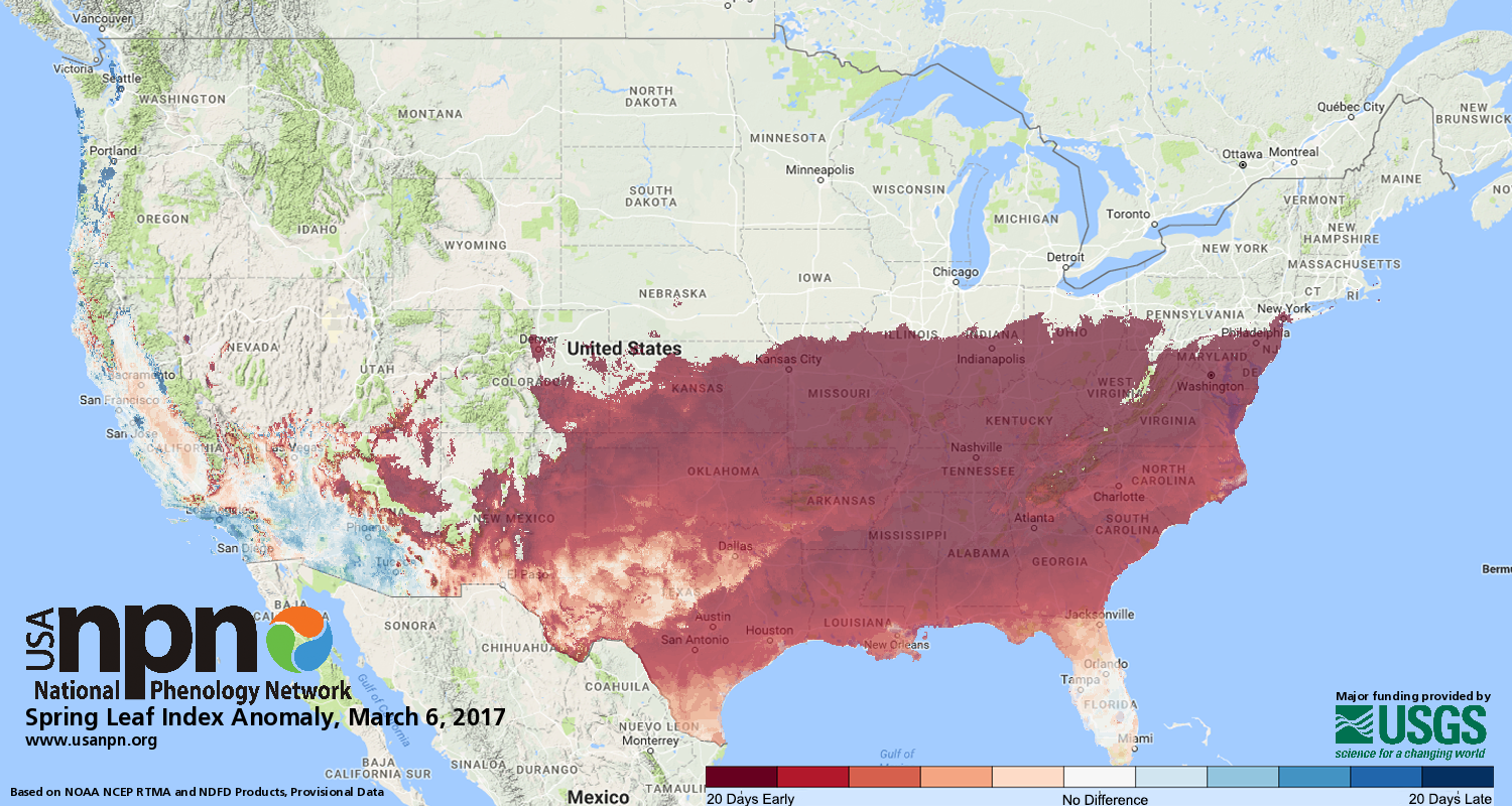 Spring status as of March 6, 2017, according to computer models and citizen reports. (National Phenology Network)