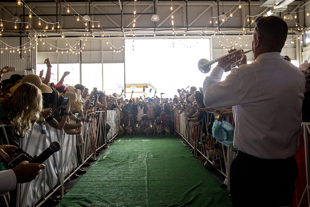 The Kentucky Derby Trumpet Call is trumpeted before the corgi race. A Kentucky Derby party at Stanley Marketplace, May 6, 2017. (Kevin J. Beaty/Denverite)
stanley marketplace; kentucky derby; aurora; kevinjbeaty; denverite; colorado; dogs; pets; animals;