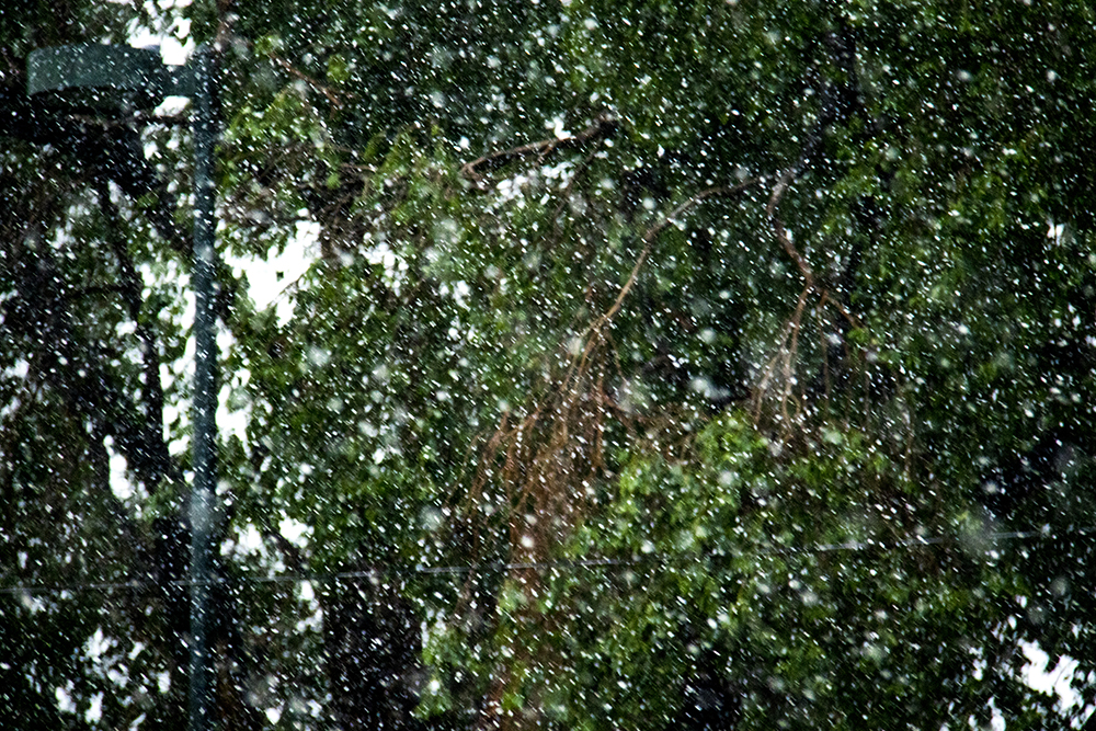 A late spring snowstorm on May 18, 2017. (Kevin J. Beaty/Denverite)
snow; weather; cowx; kevinjbeaty; denver; denverite; colorado; wintery mix;