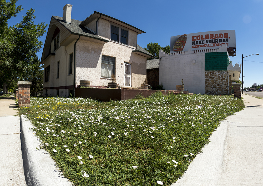 Only these two Denver area ZIP codes saw a drop in home prices