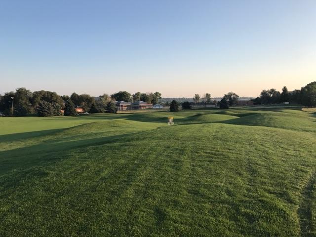 #6 (1)