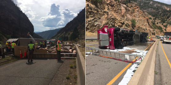 Pigs on a highway on I-70. (CDOT)