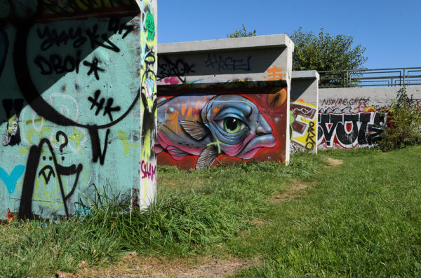 A worn path between the walls (Austin Cope/For Denverite) parks; park; Northside Park; Globeville; sal carpio