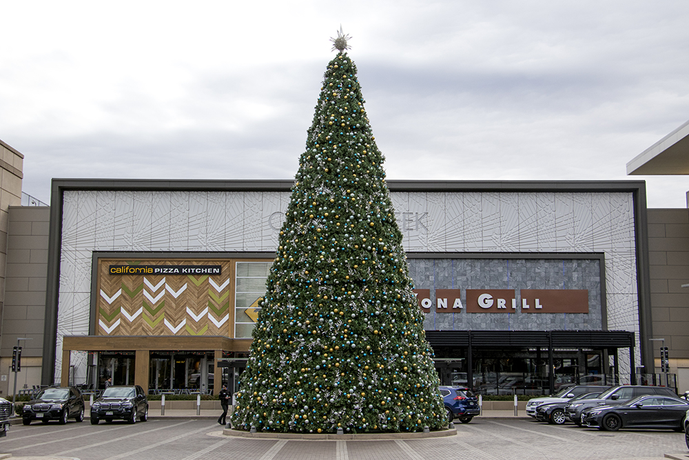 How to recycle a Christmas tree in Denver Denverite, the Denver site!
