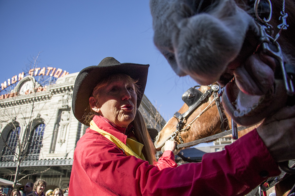 Sandy Pfeiffer sings to Jerry the horse to keep him calm before the parade begins. The 112th National Western Stock Show begins with a parade through downtown Denver, Jan. 4, 2018. (Kevin J. Beaty/Denverite)
national western stock show; nwss; parade; denver; denverite; colorado; kevinjbeaty;