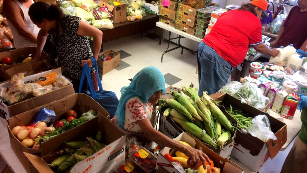 A community food bank run by the Birdseed Collective at the Globeville Recreation Center, Aug. 20, 2018. (Courtesy: Karen Seed)