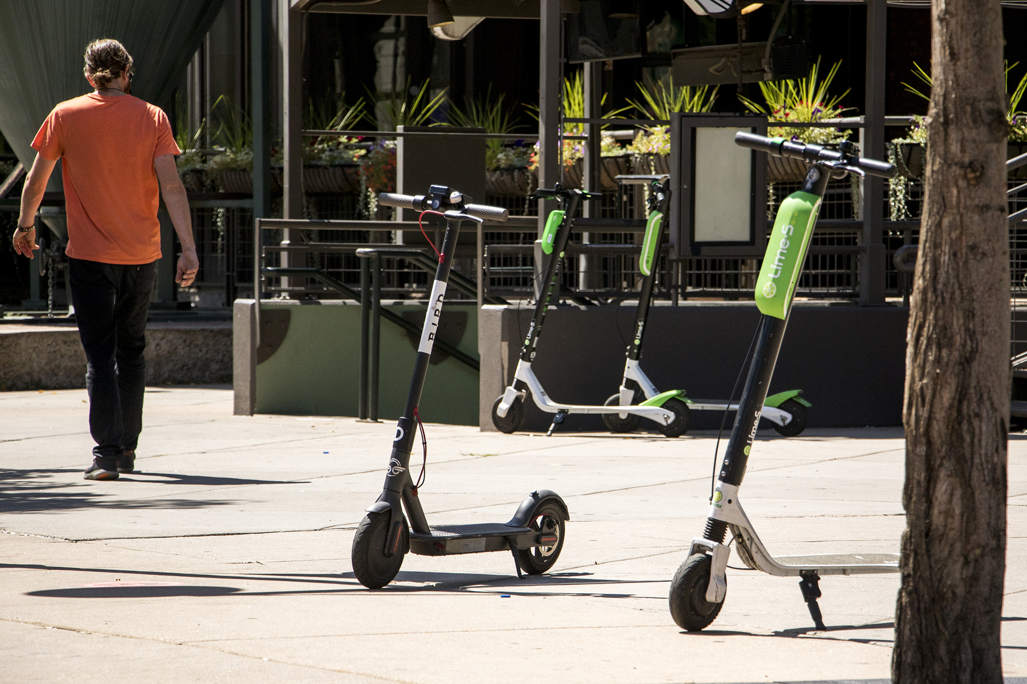 Denver has now survived a month of scooters, and there are a lot more