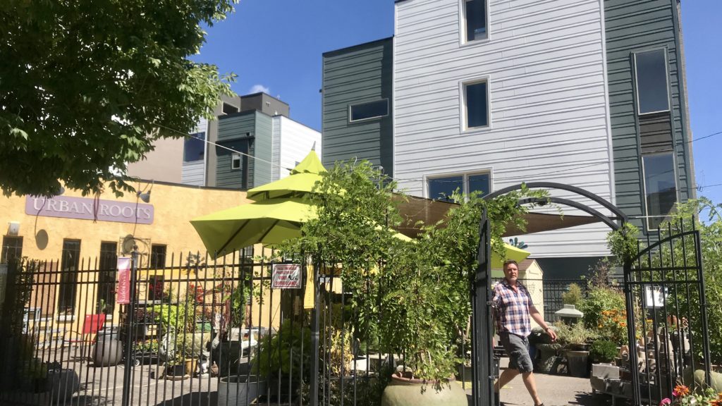 Urban Roots, 1000 Acoma St. Sept. 7, 2018. (Ashley Dean/Denverite)