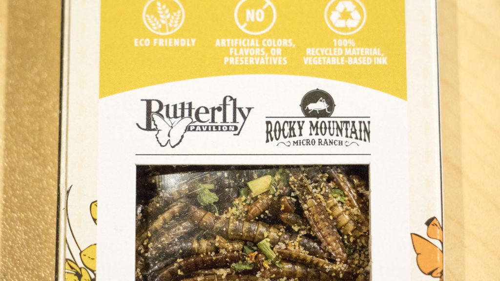 "Insectables," the new product by Rocky Mountain Micro Ranch, in partnership with Butterfly Pavilion, that's avaiable at the Pavilion and soon at the Denver Museum of Nature and Science. Oct. 10, 2018. (Kevin J. Beaty/Denverite)
