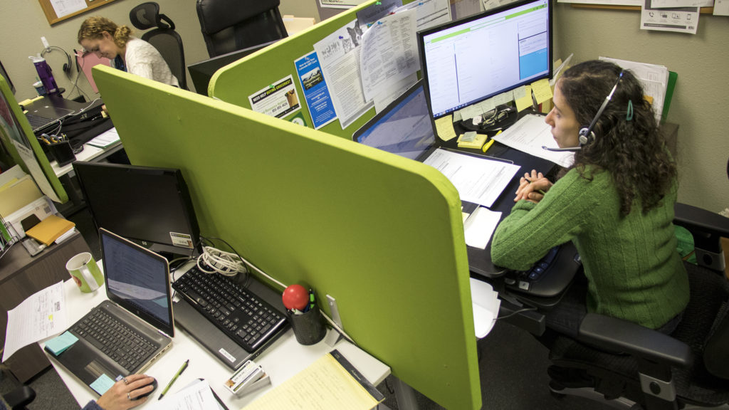 Inside a Hunger Free Colorado call center that helps people navigate the public benefits process, Nov. 7, 2018. (Kevin J. Beaty/Denverite)