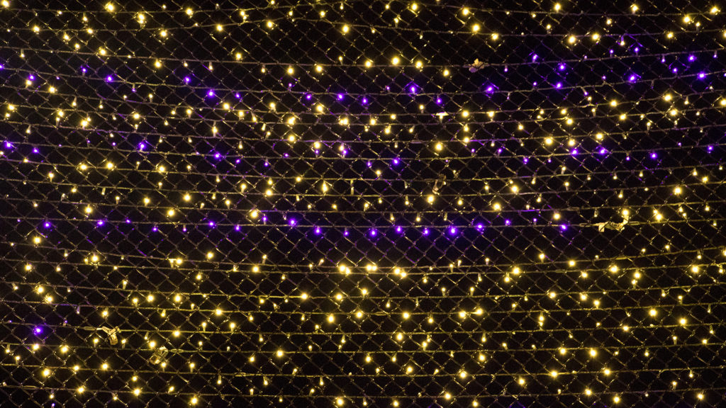 Lights put up above Sonny Lawson Park by Denver's Road Home, Five Points, Nov. 28, 2018. Each of the 3,445 bulbs represents every person who was experiencing homelessness during Denver’s annual one-day homelessness survey. (Kevin J. Beaty/Denverite)