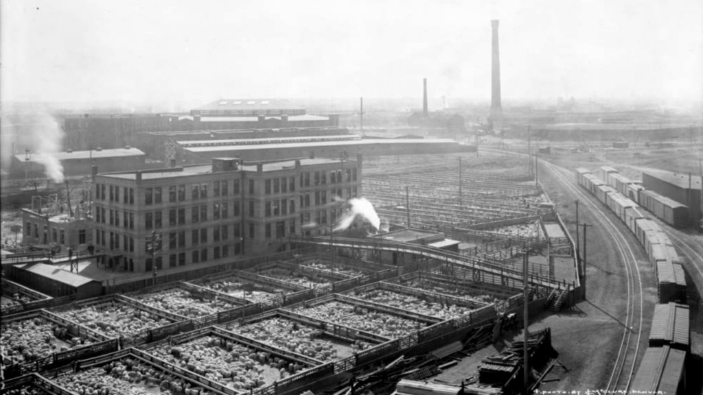 View of Denver Union Stock Yards Company cattle pens and the Omaha and Grant smelter smokestack in the distance, circa 1915. (Louis Charles McClure/Denver Public Library/Western History Collection/MCC-4205)