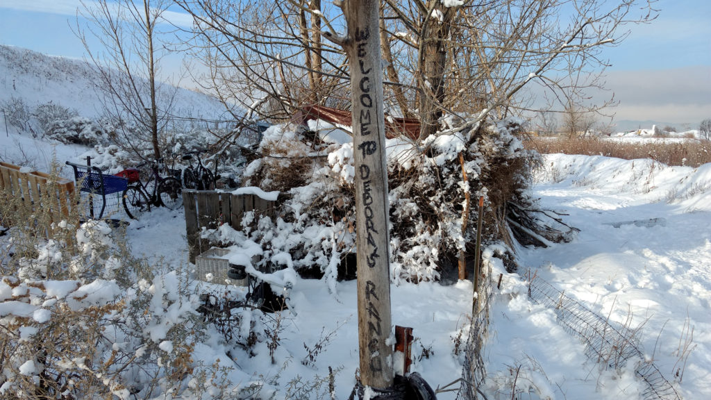 A couple experiencing homelessness lives in this camp along Sand Creek. (Donna Bryson/Denverite)