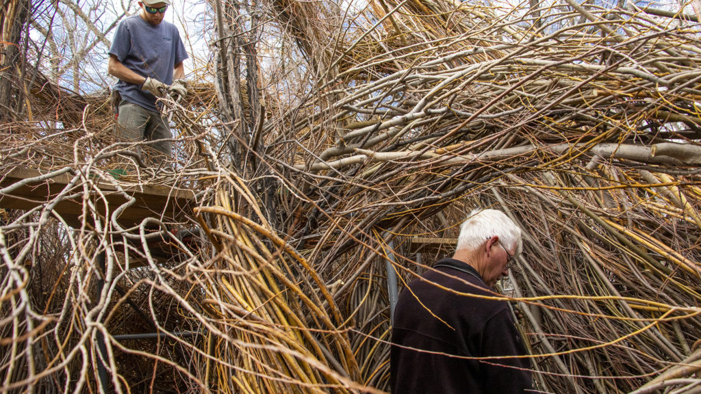 Artist Patrick Dougherty and his son, Sam, at work on "Stickwork" at the Denver Botanic Gardens' Chatfield Farms, April 18, 2019. (Kevin J. Beaty/Denverite)
