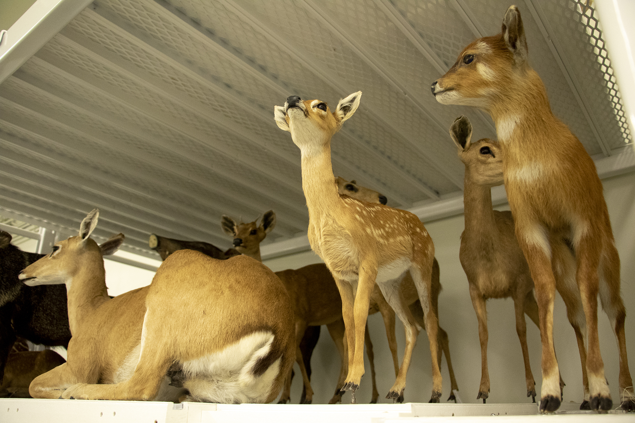 Denverite, the Denver site!