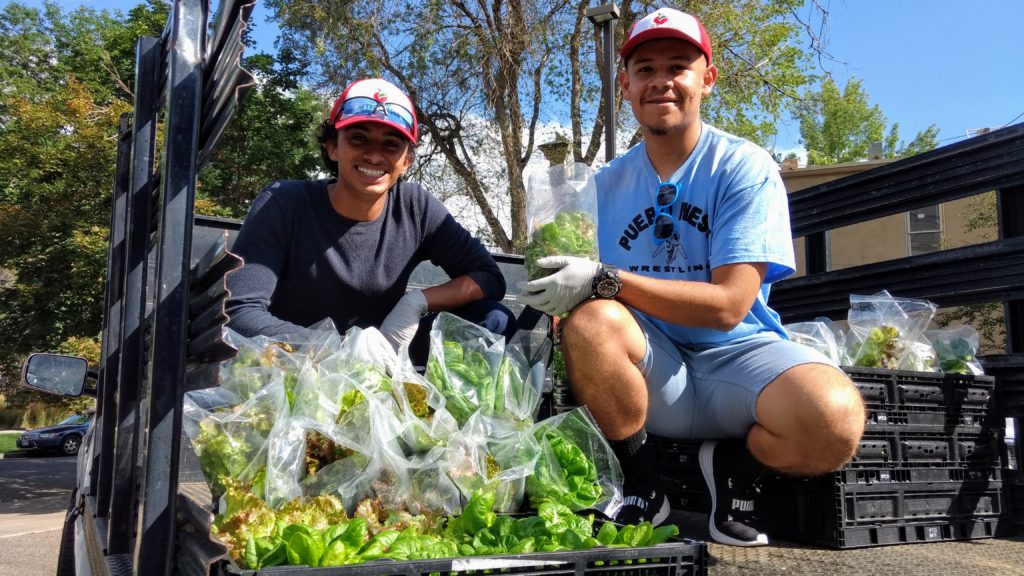 Wilber Portillo, left, and fellow Metro Caring urban farming intern Abraham Rodriguez. (Donna Bryson/Denverite)