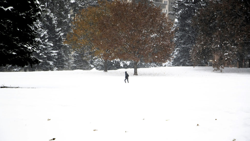 A lone figure crosses an expanse of snow in Cheesman Park. Oct. 29, 2019. (Kevin J. Beaty/Denverite)