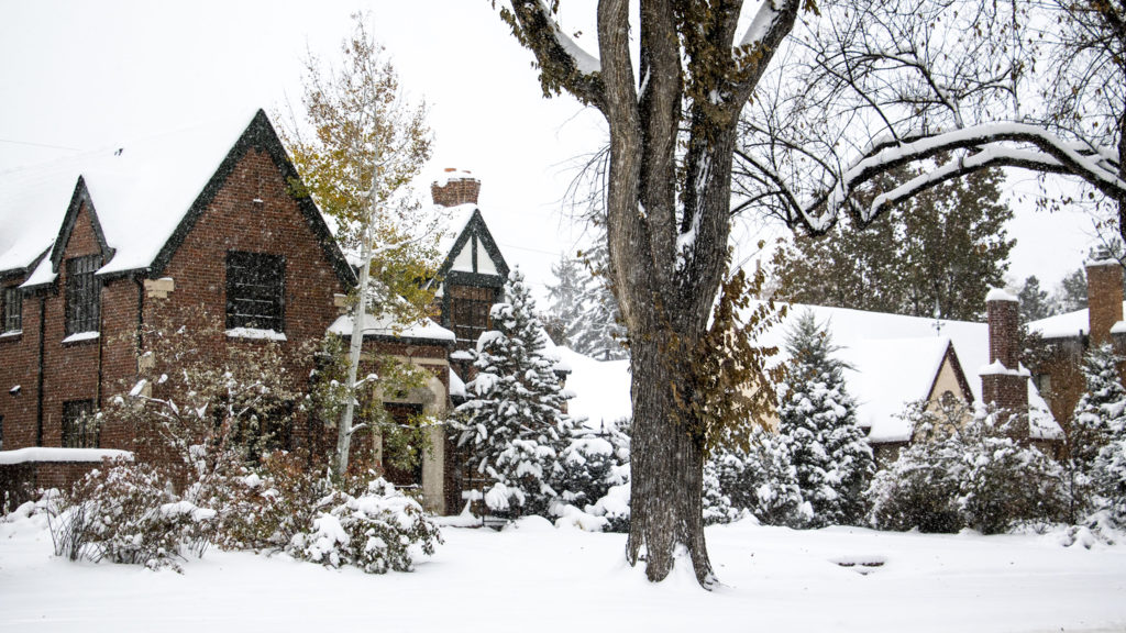 A snowy day in South Park Hill. Oct. 29, 2019. (Kevin J. Beaty/Denverite)