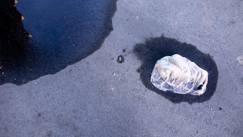 A plastic shopping bag is surrounded by a circle of liquid somewhere in Athmar Park. Dec. 3, 2019. (Kevin J. Beaty/Denverite)