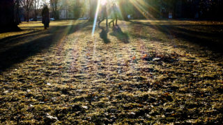 Samantha Camerino, Stephanie Kaufman and Ben Grossman walk through City Park looking for people to interview for the annual Point in Time Survey of Denver's unhoused population. Jan. 28, 2020. (Kevin J. Beaty/Denverite)