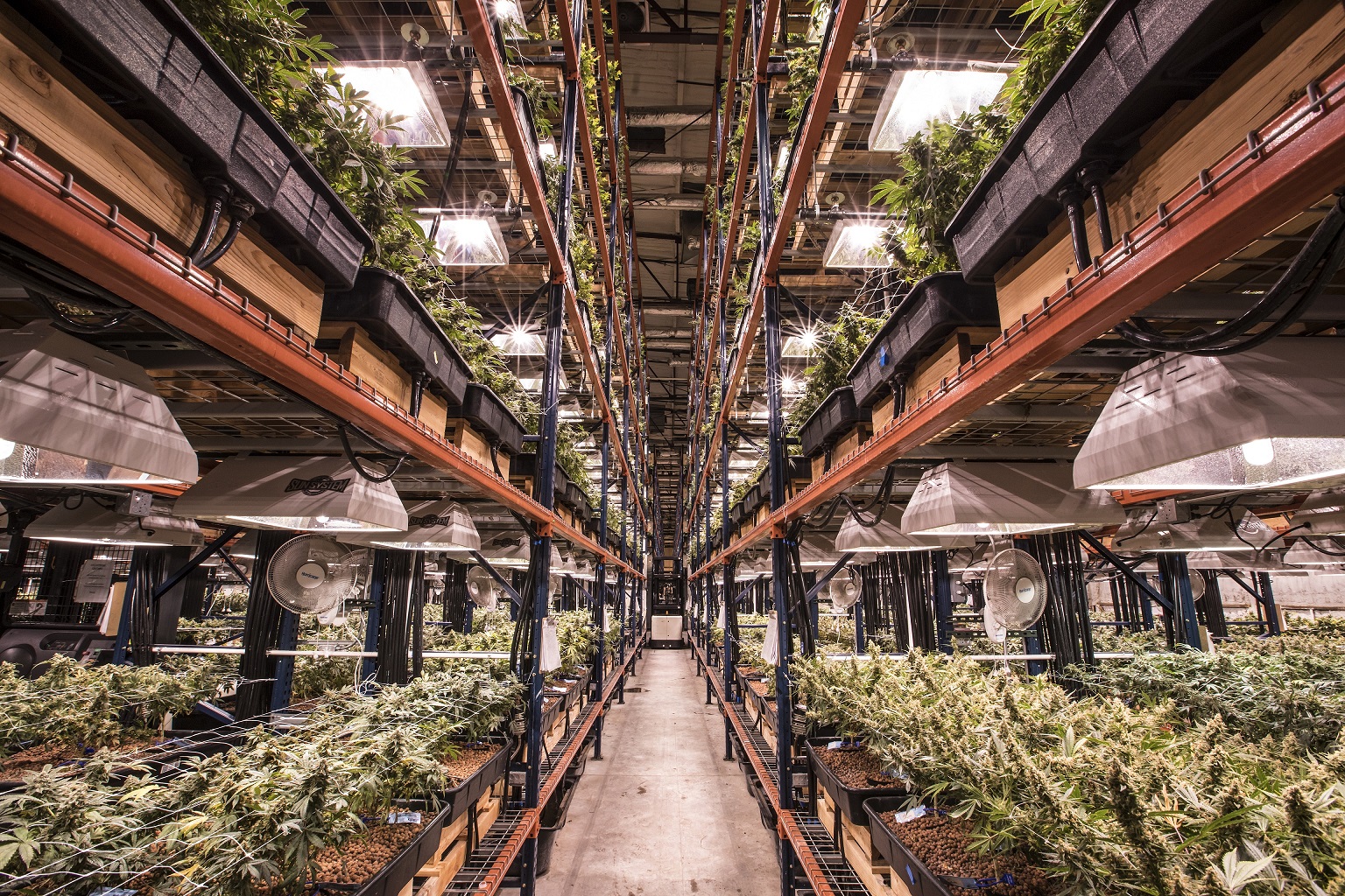 All the places your weed is grown in Denver Denverite