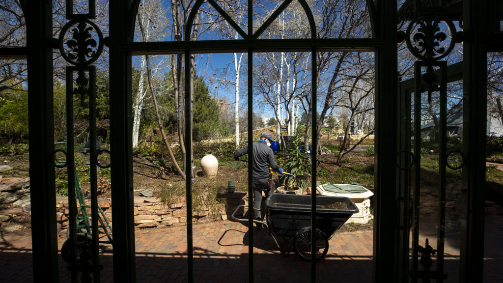 Horticulturalist Mario Bertelmann at work in the Denver Botanic Gardens, April 7, 2020. (Kevin J. Beaty/Denverite)