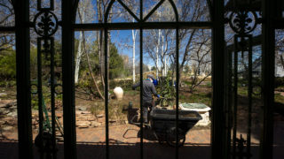 Horticulturalist Mario Bertelmann at work in the Denver Botanic Gardens, April 7, 2020. (Kevin J. Beaty/Denverite)