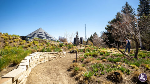 40 Denver Zoom backgrounds that you may -- or may not -- want for your