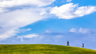 A couple of humans and dogs crest the hill at Ruby Hill Park. June 23, 2020. (Kevin J. Beaty/Denverite)