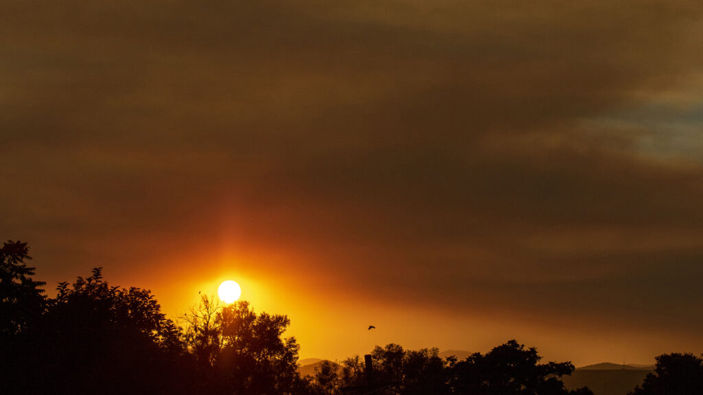 A wildfire sunset over Denver's Mar Lee neighborhood. And a bird. Oct. 1, 2020.