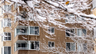 Snow blankets North Capitol Hill. Nov, 24, 2020.