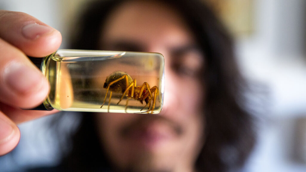An enormous spider Efrain Leal Escalera found. Dec. 26, 2020.