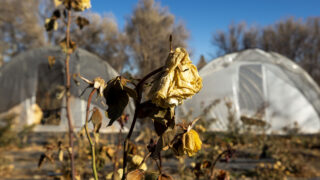 Lakewood's Half Moon Farm in the off season. Nov. 12, 2020.