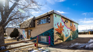 A mural by Grow Love, aka Robyn Frances, Moe Gram and Tribal Murals painted during Babe Walls 2020 in Westminster. Jan. 12, 2020.