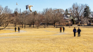 Walkers (and birds) enjoy the sunshine around Sloan's Lake on Jan. 19, 2020.