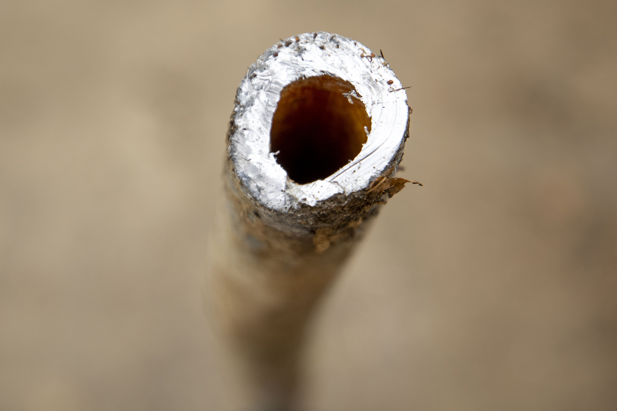 Lead in Denver's water is why you got a Brita filter Denverite, the