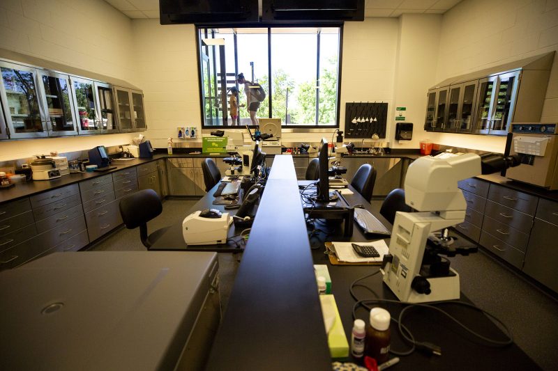 Inside the Denver Zoo's new animal hospital Denverite, the Denver site!