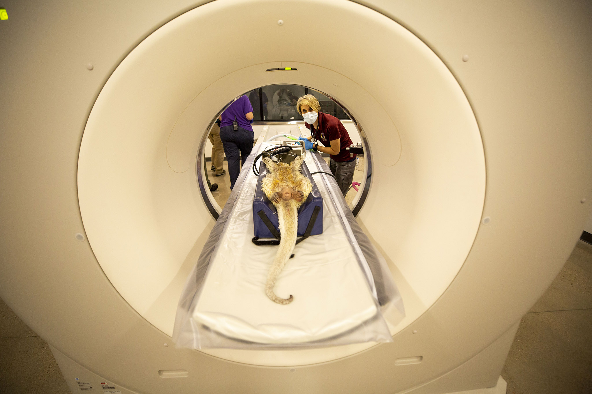 Inside the Denver Zoo's new animal hospital Denverite, the Denver site!