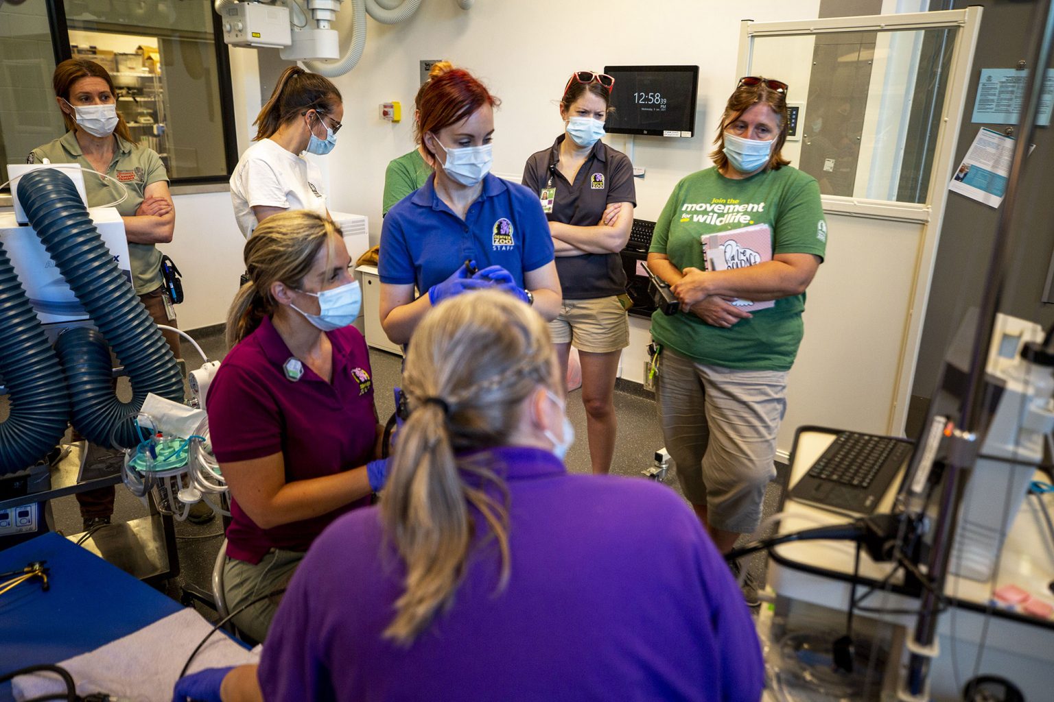 Inside the Denver Zoo's new animal hospital Denverite, the Denver site!